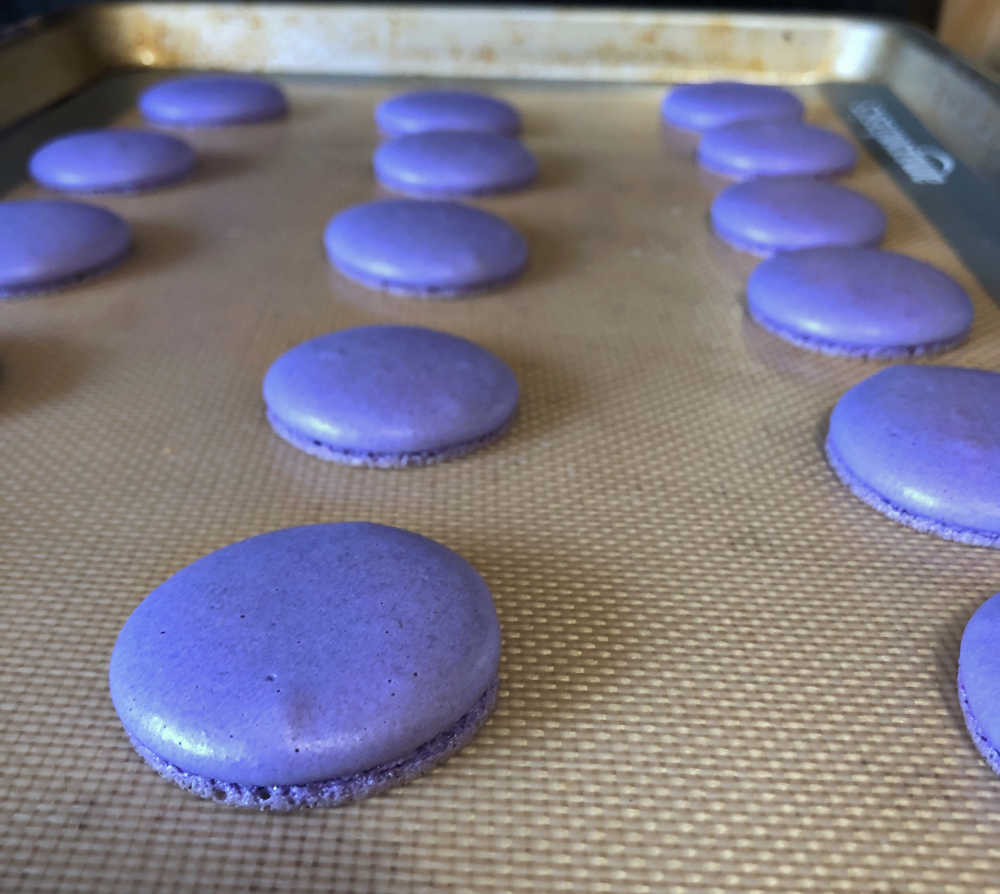 purple macaron shells